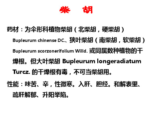 经方配伍与临床(柴、葛、芷、辛)