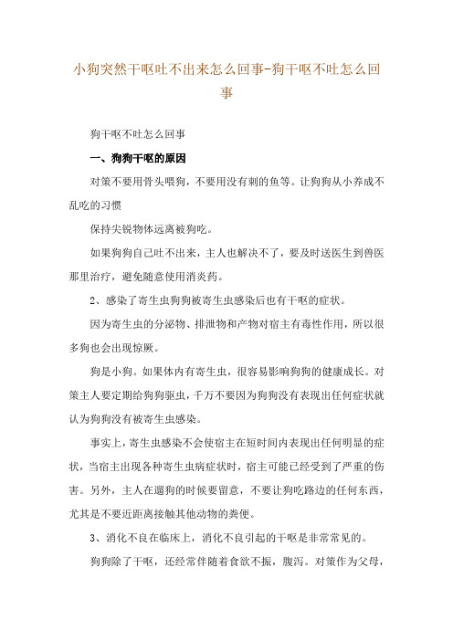 小狗突然干呕吐不出来怎么回事-狗干呕不吐怎么回事