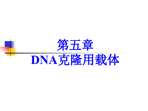 第五章DNA克隆用载体