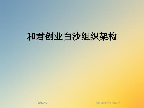 和君创业白沙组织架构