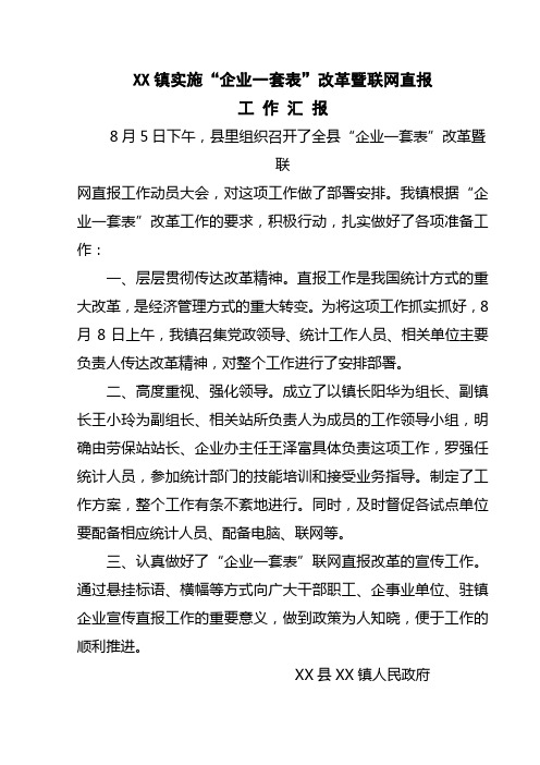 XX镇实施“企业一套表”改革暨联网直报工作汇报