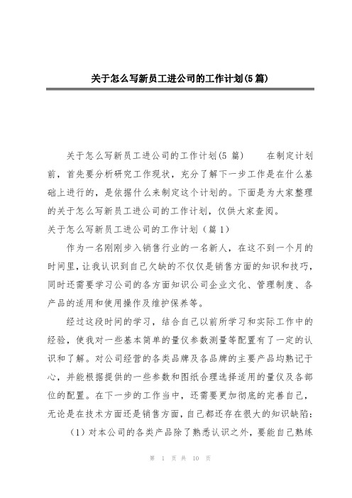 关于怎么写新员工进公司的工作计划(5篇)