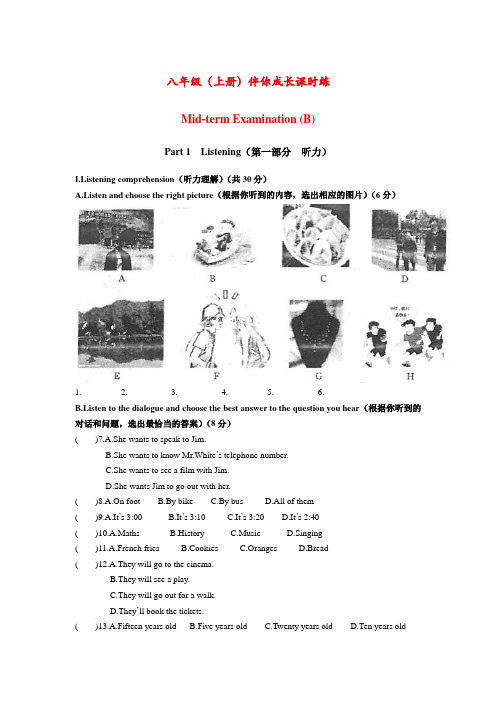八年级上-伴你成长课时练 期中测试B卷