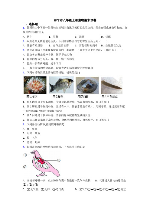 南平市八年级上册生物期末试卷