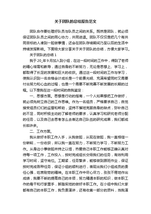 关于团队的总结报告范文