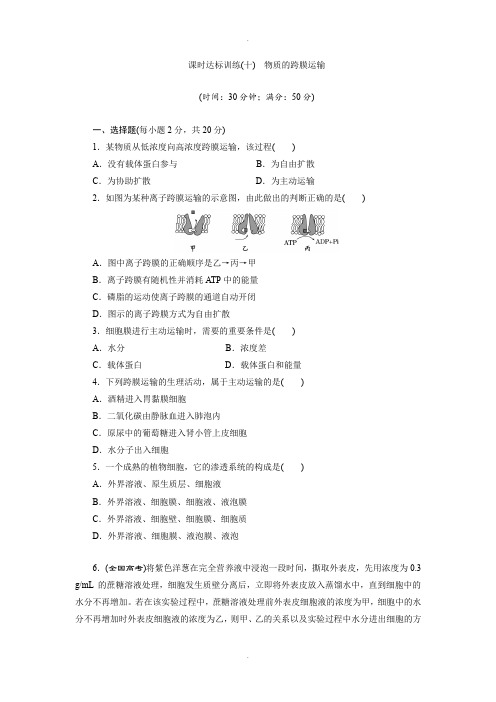 苏教版高中生物必修一课时达标训练：(十) 物质的跨膜运输 Word版含解析