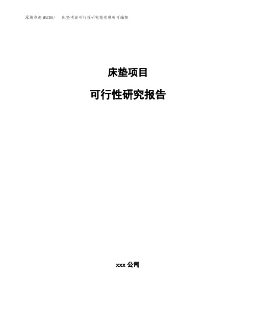 床垫项目可行性研究报告模板可编辑 (1)