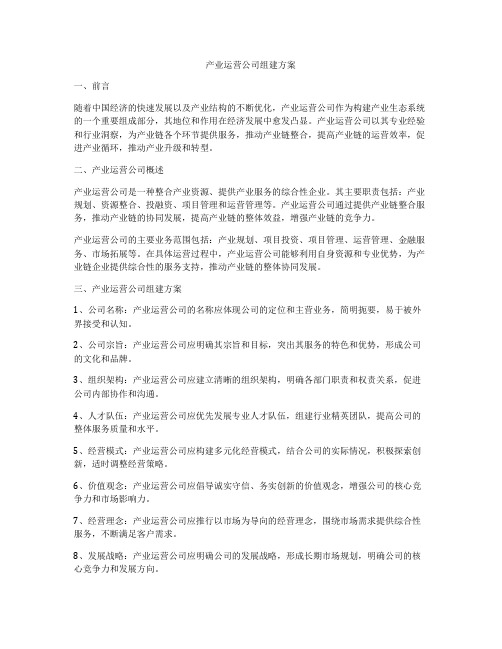 产业运营公司组建方案