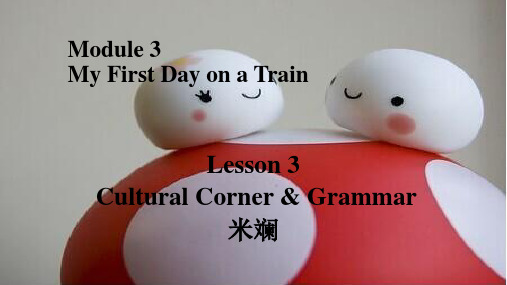 外研版高中英语必修一课件：Module+3+lesson+3