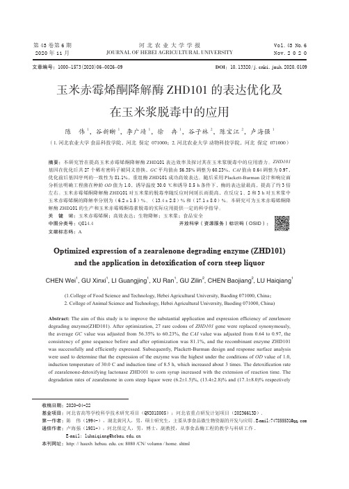 玉米赤霉烯酮降解酶ZHD101的表达优化及在玉米浆脱毒中的应用