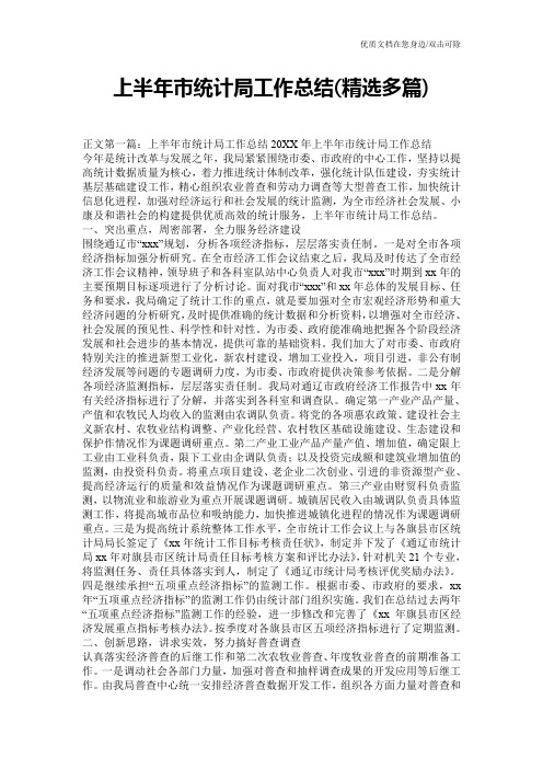 上半年市统计局工作总结(精选多篇)