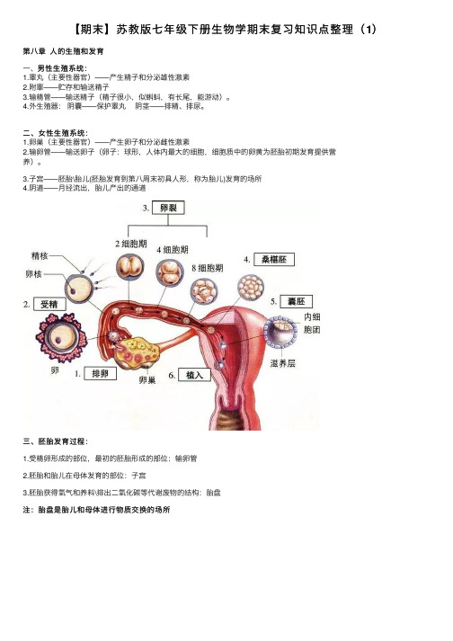 【期末】苏教版七年级下册生物学期末复习知识点整理（1）