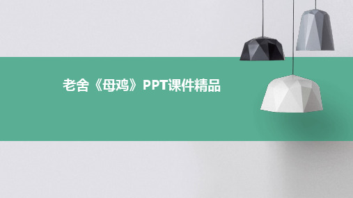 老舍《母鸡》PPT课件精品