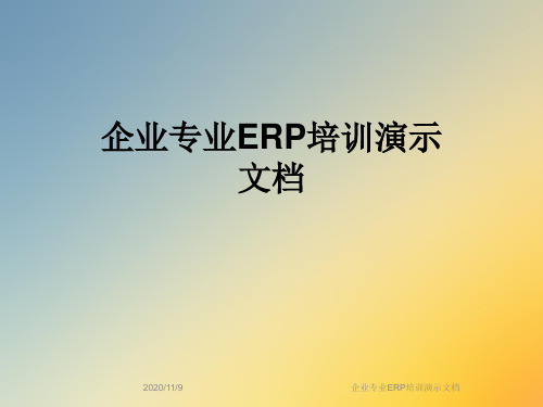 企业专业ERP培训演示文档