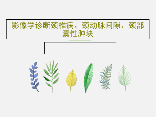 影像学诊断颈椎病、颈动脉间隙、颈部囊性肿块189页PPT