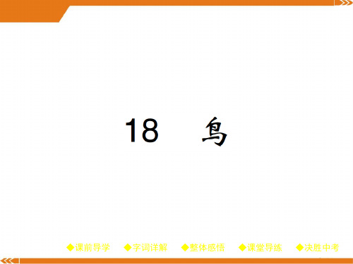 人教版七年级语文上册课件：18.鸟(共23张PPT)