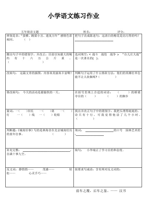 小学五年级语文精题选做I (97)