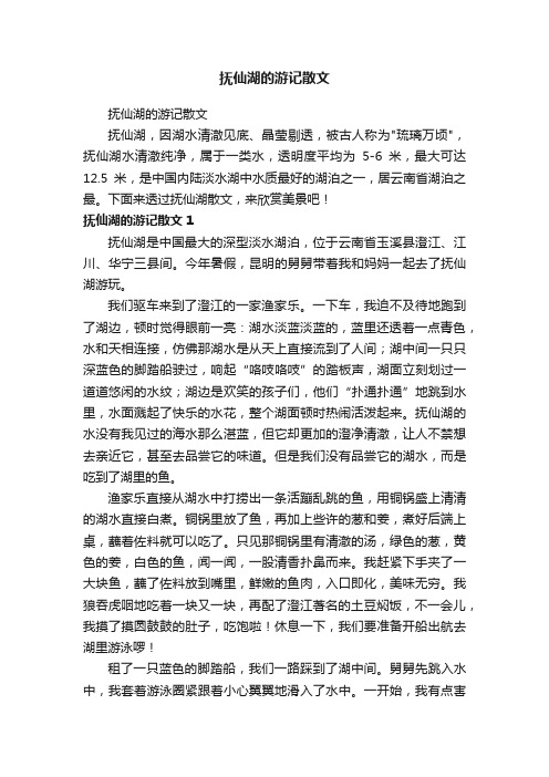 抚仙湖的游记散文