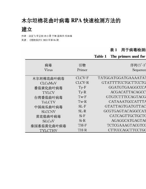 木尔坦棉花曲叶病毒RPA快速检测方法的建立