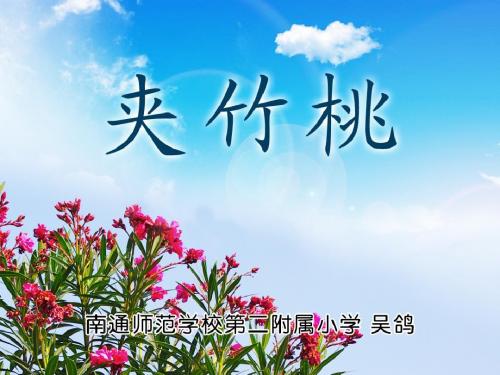 六年级下册语文课件-19. 夹竹桃 ∣苏教版 (共31张PPT)