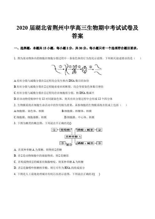 2020届湖北省荆州中学高三生物期中考试试卷及答案