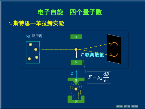 电子自旋 四个量子数