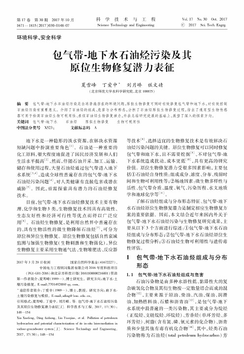 包气带-地下水石油烃污染及其原位生物修复潜力表征