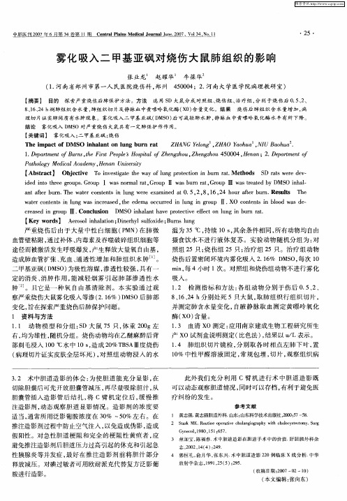 雾化吸入二甲基亚砜对烧伤大鼠肺组织的影响