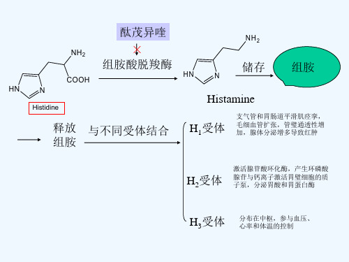 五抗过敏药和抗溃疡药