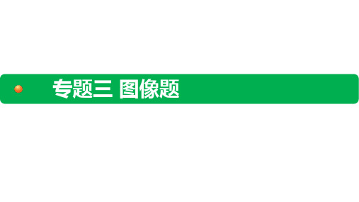 九年级物理中考试题课件3-3 专题三 图像题 类型3 综合型图像题