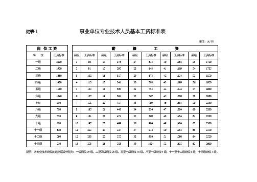 事业单位专业技术人员基本工资标准表