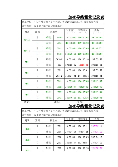 导线测量记录EXCEL