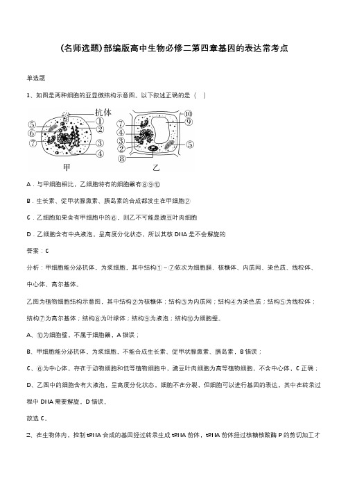 部编版高中生物必修二第四章基因的表达常考点