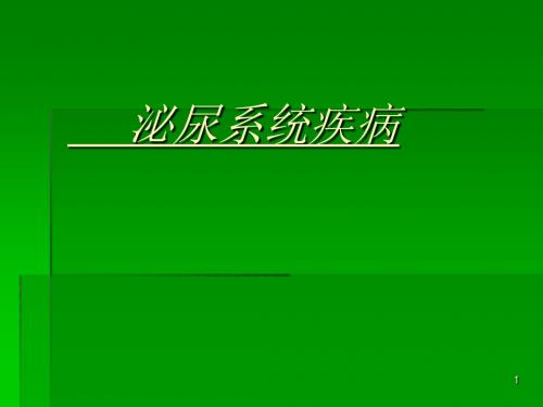 泌尿外科疾病泌尿系肿瘤ppt课件