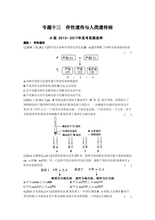 2019届高考生物第五单元专题十三 伴性遗传与人类遗传病