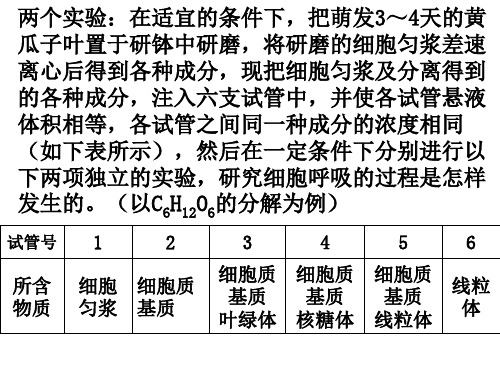 细胞呼吸过程、原理及应用ppt课件