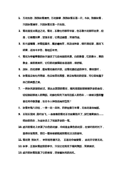 关于菊花的高级文案