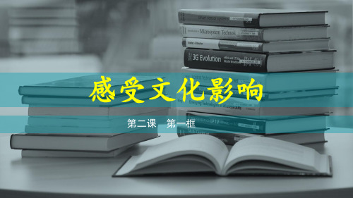 人教版高中政治必修三2.1感受文化影响