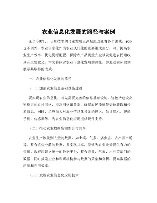 农业信息化发展的路径与案例