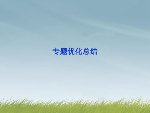 人教版江苏省邳州市第二中学2013年高中化学 专题2 专题优化总结课件 苏教版必修1