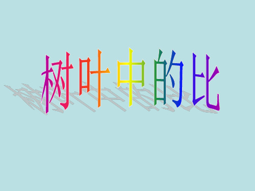 【公开课课件】六年级数学上册：树叶中的比