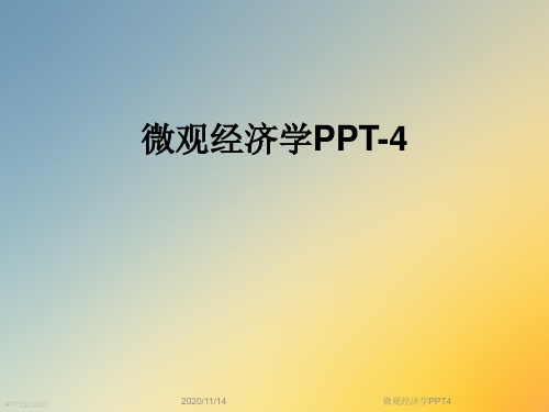 微观经济学PPT4