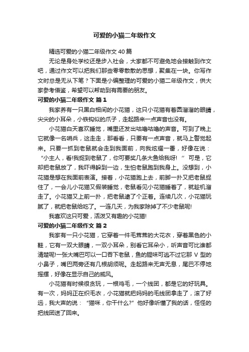 精选可爱的小猫二年级作文40篇