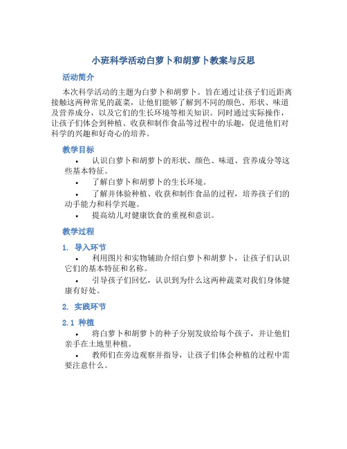 小班科学活动白萝卜和胡萝卜教案与反思