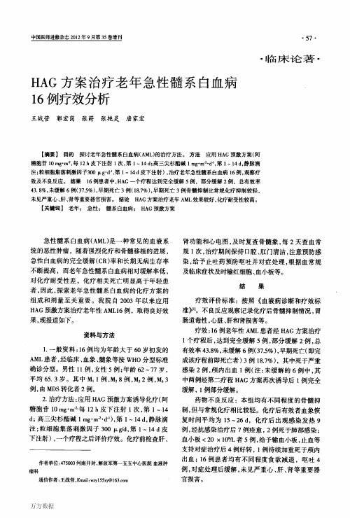 HAG方案治疗老年急性髓系白血病疗效分析