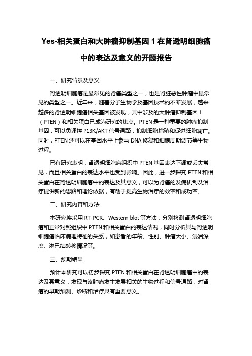 Yes-相关蛋白和大肿瘤抑制基因1在肾透明细胞癌中的表达及意义的开题报告