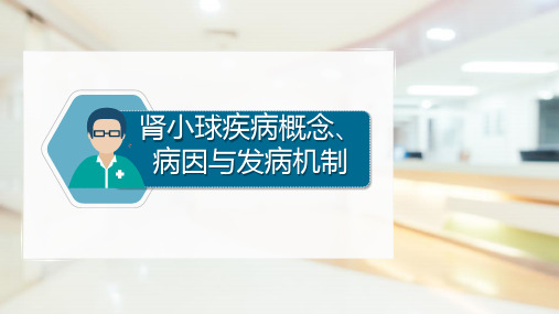 肾小球疾病概念与发病机制(内科学课件)