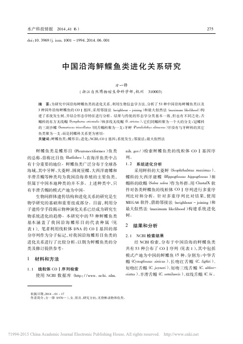 中国沿海鲆鲽鱼类进化关系研究