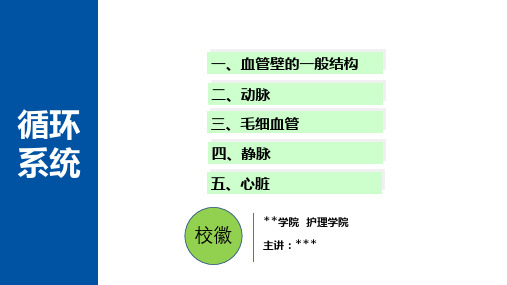 组织学与胚胎学--《循环系统》