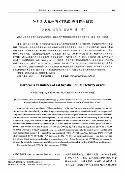 冰片对大鼠体内CYP2D诱导作用研究